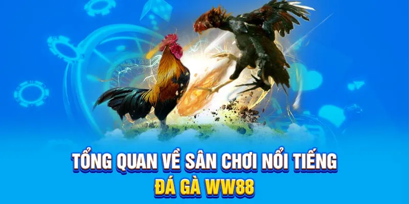 Tổng quan về sân chơi nổi tiếng đá gà WW88